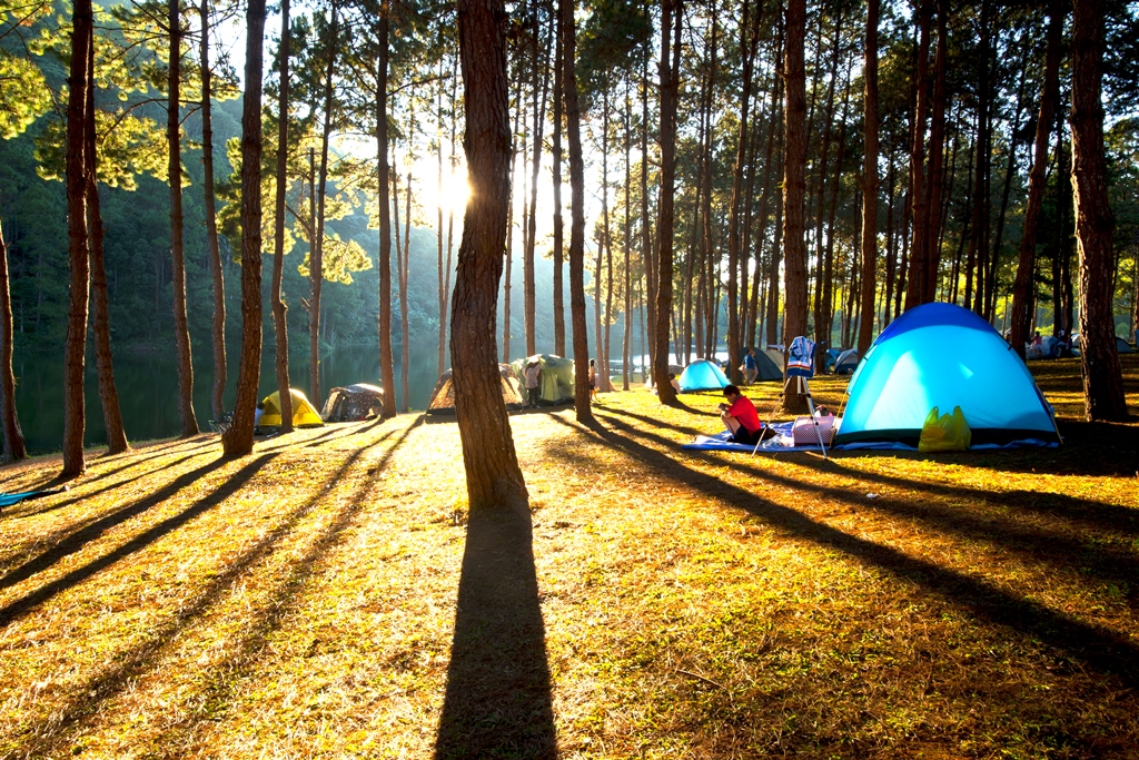 Peaceful camping experience!