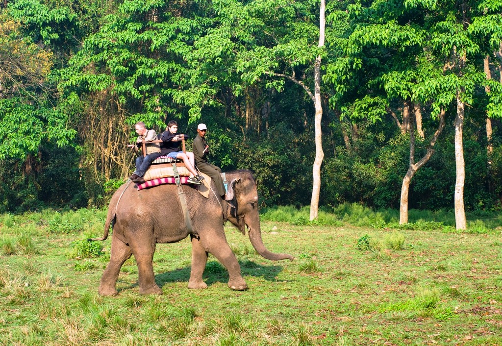 Elephant Safari at Chitwan National Park, Nepal