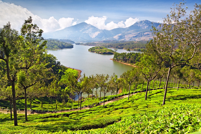 Munnar