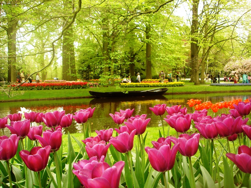 keukenhof