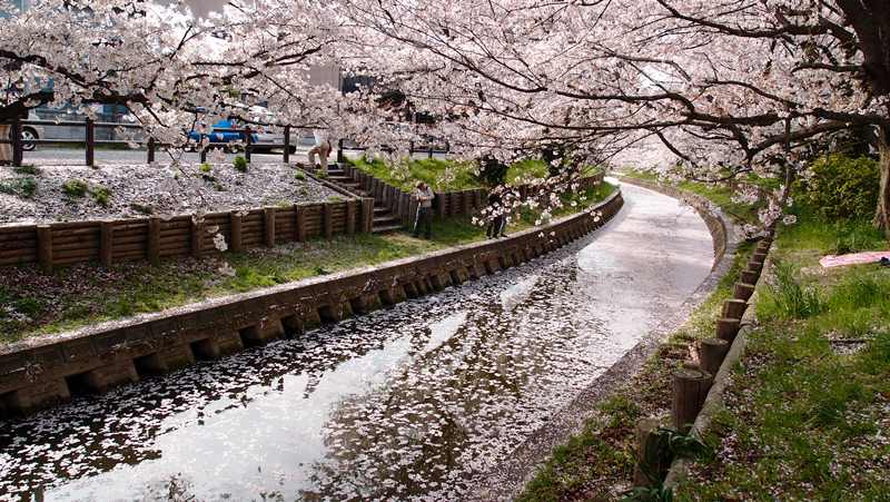 Ueno Park